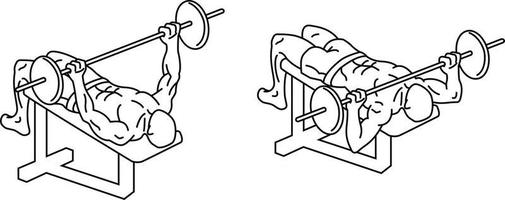 bench press Exercises and training with weights vector