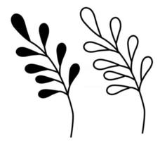 line and silhouette branch with leaves vector