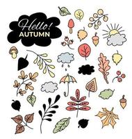 set of autumn  leaves and branches berries and acorns the sun and clouds an umbrella and rain vector