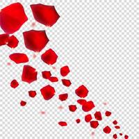 Abstract Natural Rose Petals Realistic Vector Illustration