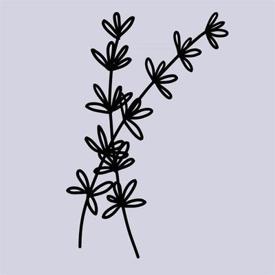Botanical Vector Art, Icons, and Graphics for Free Download