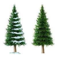 Realistic vector pine tree set isolate