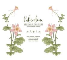 Pink Columbine flower Vintage Hand Drawn Botanical Illustrations Invitation card template vector