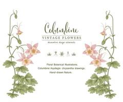 Pink Columbine flower Vintage Hand Drawn Botanical Illustrations Invitation card template vector