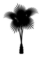 Palmera y accesorios para la ilustración de vector de stock de descanso aislado sobre fondo blanco