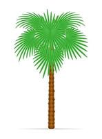 Palmera y accesorios para la ilustración de vector de stock de descanso aislado sobre fondo blanco