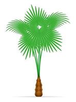 Palmera y accesorios para la ilustración de vector de stock de descanso aislado sobre fondo blanco