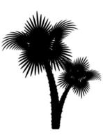 Palmera y accesorios para la ilustración de vector de stock de descanso aislado sobre fondo blanco