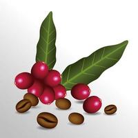 coffee break poster with seeds and leafs vector