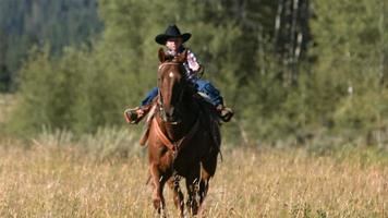 jonge cowboy rijpaard, slow-motion video