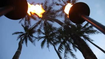 Tropical tiki torches and palm trees at dusk video