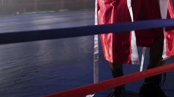 Portrait of boxer standing in ring video