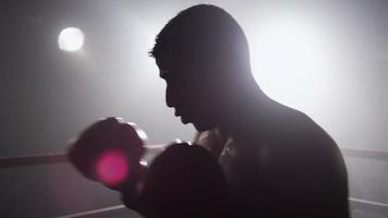 Boxer in ring video