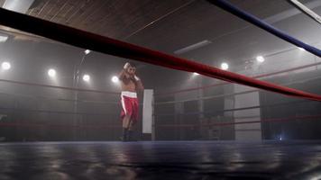 Boxer training in boxing ring video