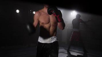 Boxer training in boxing ring video