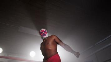 Masked wrestler in boxing ring video