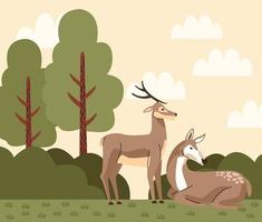 wild reindeer animals in the camp scene vector