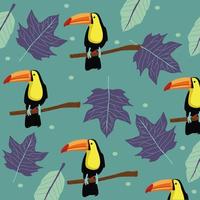 beautiful wild toucans birds pattern vector