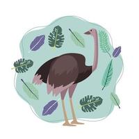 wild ostrich animal with leafs nature scene vector