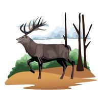 wild reindeer animal in the camp scene vector