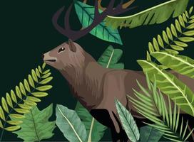 wild reindeer animal in the forest scene vector