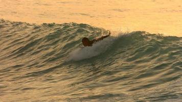 surfista rema en ola en la luz de la tarde, cámara lenta video