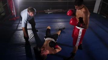 bokser slaat tegenstander knock-out video