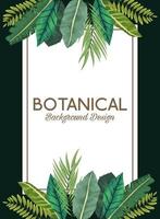 hojas tropicales en marco cuadrado y diseño de fondo botánico de letras vector