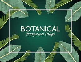 tropical leafs in square frame and lettering botanical background design vector