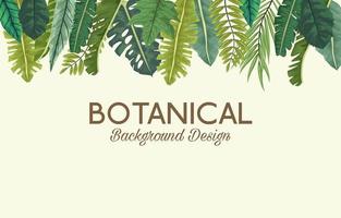 hojas tropicales y diseño de fondo botánico de letras vector