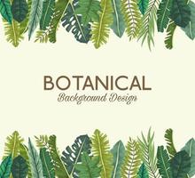 hojas tropicales y diseño de fondo botánico de letras vector