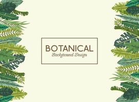 hojas tropicales y diseño de fondo botánico de letras vector