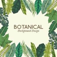 tropical leafs in square frame and lettering botanical background design vector