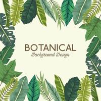 hojas tropicales en marco cuadrado y diseño de fondo botánico de letras vector