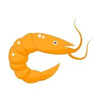 Shrimp   sea food vector