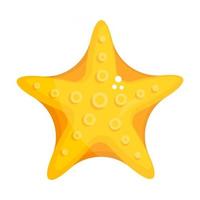 Starfish shaped Echinoderms vector