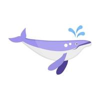 Killer Whale  Large Fish vector