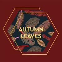 autumn leaves lettering in poster with dry leafs in hexagon frame vector