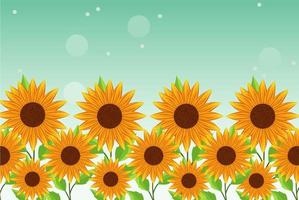 beautiful sunflowers garden scene poster vector