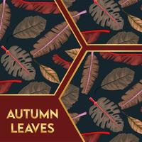 autumn leaves lettering in poster with dry leafs in red background vector