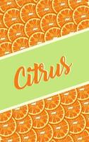 citrus fruit poster with oranges pattern and lettering vector