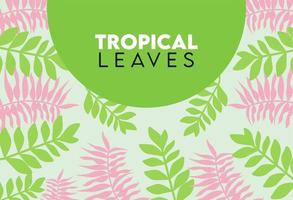 cartel de letras de hojas tropicales con marco circular de hojas verdes y rosas vector