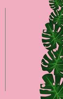 tropical frame decorative with green leafs in pink background vector