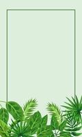 tropical frame decorative with green leafs and green background vector