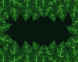 tropical frame decorative with green leafs in black background vector