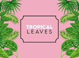 tropical leaves lettering poster with leafs in square frame in pink color background vector