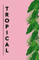 cartel de letras tropicales con hojas verdes en fondo rosa vector