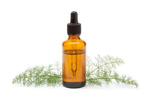 Fennel essential oil on white background Foeniculum vulgare oil for skin care aromatherapy and natural medicine