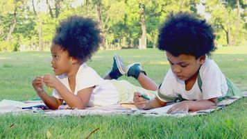 retrato ao ar livre de um lindo menino negro e uma menina deitada na grama, desenhar, pintar e sorrir alegremente video