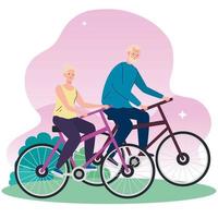 senior couple in bicycle in the park vector